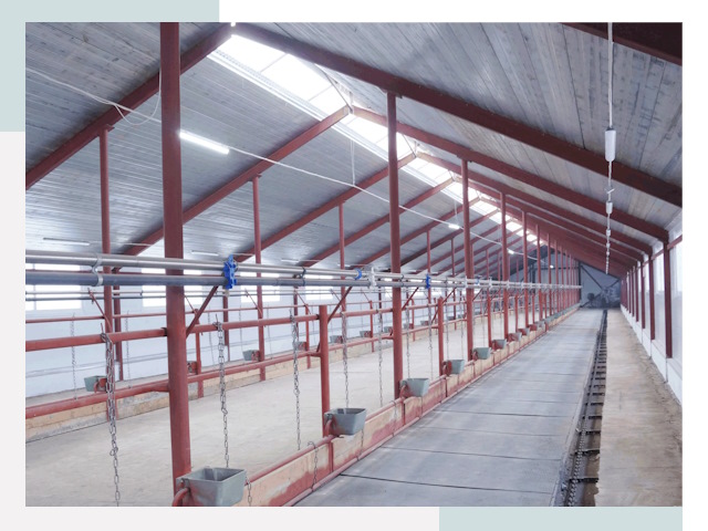 Строительство коровников в Мценске от 608 руб.