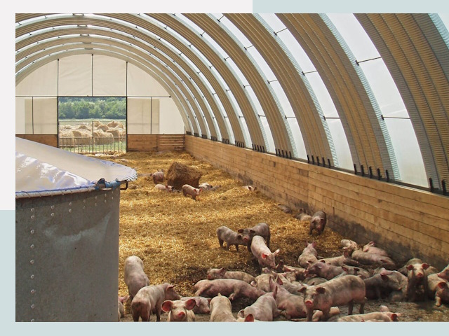 Строительство свинарников в Мценске