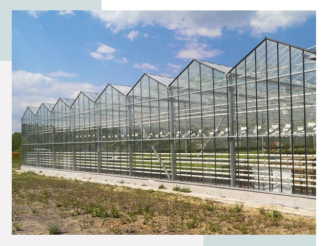 Строительство теплиц в Мценск от 608 руб. за м²