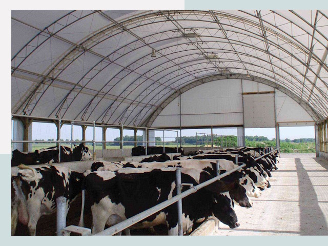 Тентовые коровники в Мценске